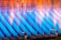 Roddam gas fired boilers